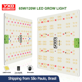 65W 120W Samsung LM301H EVO LED Plant Grow Lights Luzes para plantas, legumes e flores para cultivo de plantas em tendas
