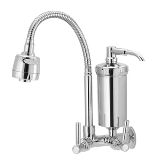 Torneira de Parede Gourmet Leão em Metal com Filtro 3272