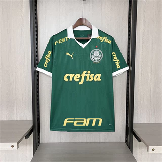 Camisa Esportiva Verde Masculina 24 /25 P-S Palmeiras Home Jersey 2024 /2025