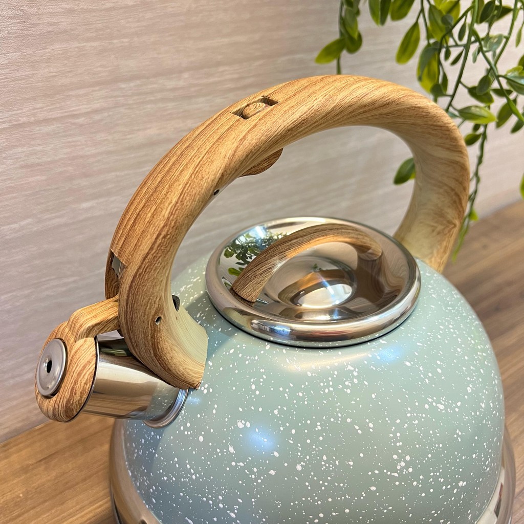 Chaleira Inox Verde Menta Brinox C/ Apito Indução | Shopee Brasil