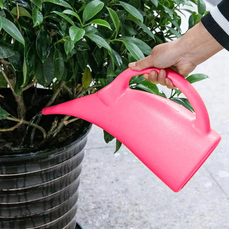 Regador Plástico Bico Fino Para Bonsai Jardim 3litros 215701