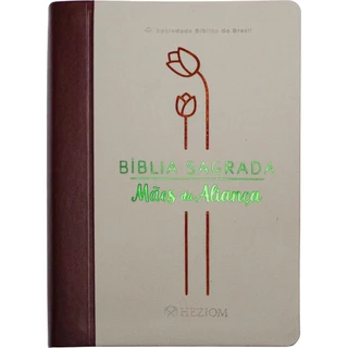 Bíblia Sagrada Mães da Aliança | Almeida Revista e Atualizada | Letra Grande | Capa Vinho | SBB em Oferta na Shopee