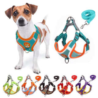 Coleira Peitoral Cachorro E Gato, Conjunto De Guia + Coleira Tipo Colete Para Pet Pequenos E Médios - Abcshop