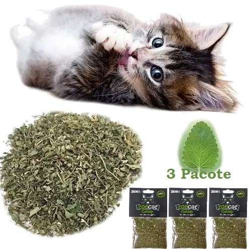 CatNip 100% natural 3 Unidade de 1g