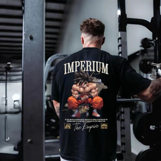 Camiseta Masculina Academia Oversized Estampado Anime Goku Dragon Algodão