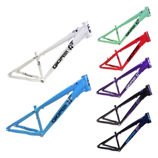 Quadro 26 FRX Evo 4-Trix Wheeling Gios Bike Dh | Dirt | Grau