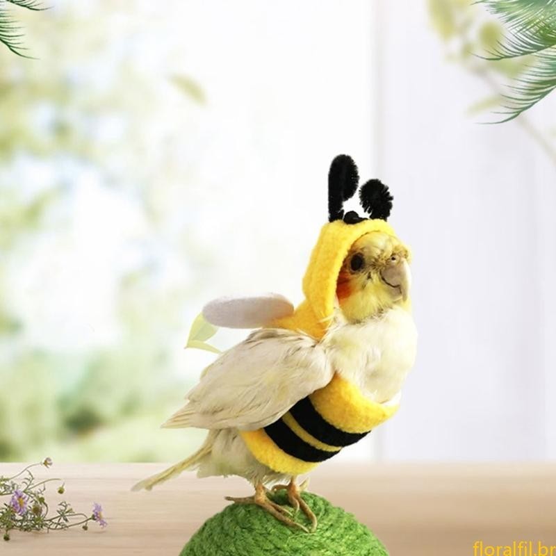 Roupa Lua Pássaro Pequeno Budgies Papagaio Vôo