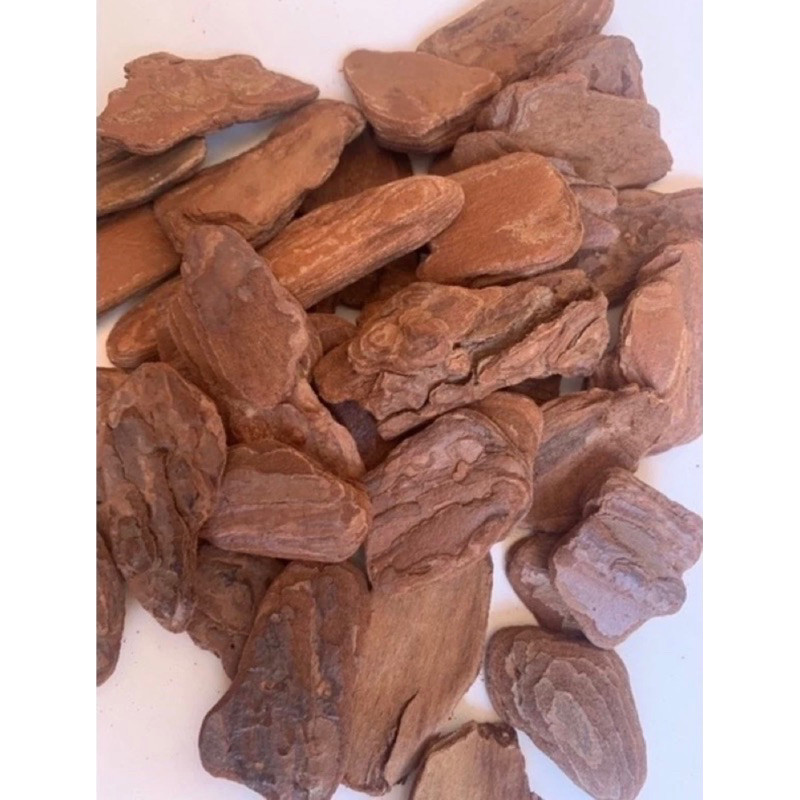 Peso 100 g casca musgo enfeite pra vaso flor