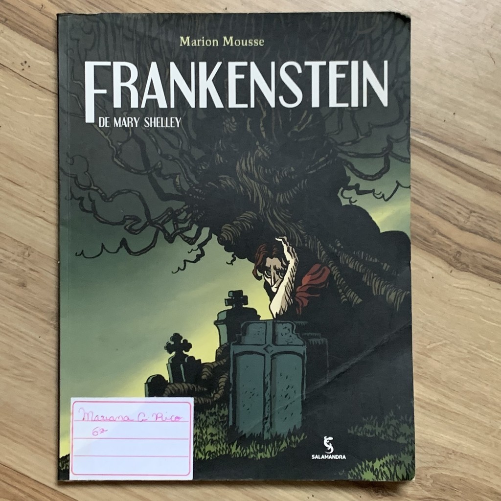 HQ FRANKENSTEIN EM QUADRINHOS - MARY SHELLEY; MARION MOUSSE | Shopee Brasil