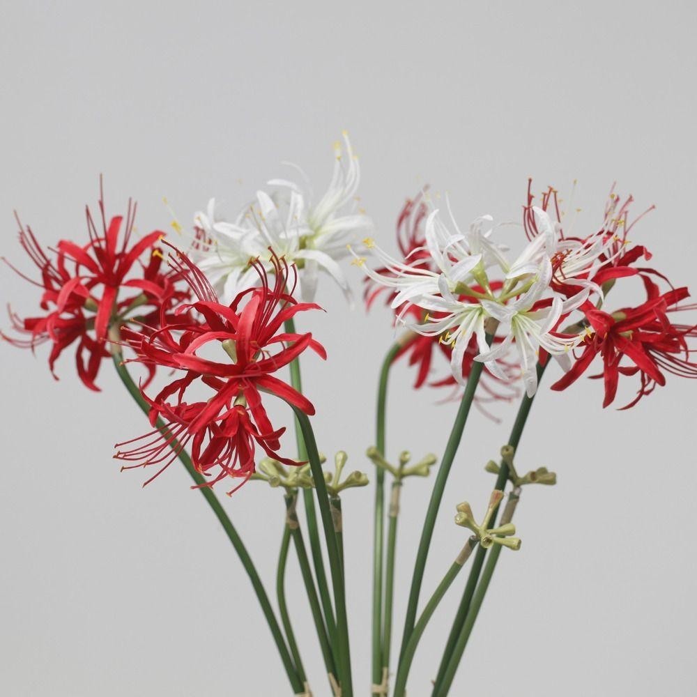 NAKAZAWA Ramo De Flor Higanbana Artificial , De Equinox De