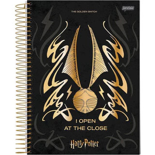 Caderno Harry Potter Hogwarts 10 Matérias 200 Folhas Jandaia