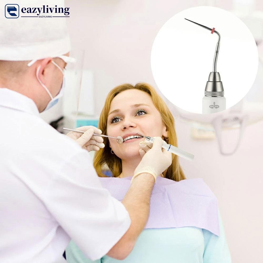Righello Endodontico Per Misura Punti Guttaperca &ndash; Dental File Root Misuratore In Plastica