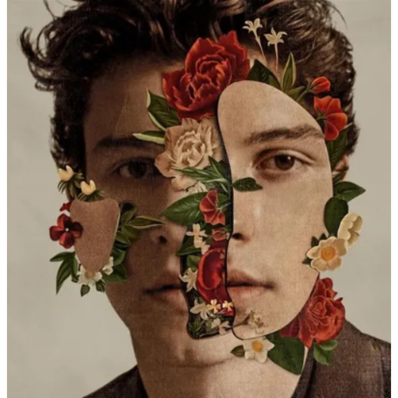 Cd Shawn Mendes - Deluxe Edition (acrílico)