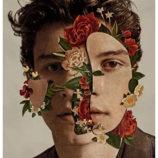 Cd Shawn Mendes - Deluxe Edition (acrílico)