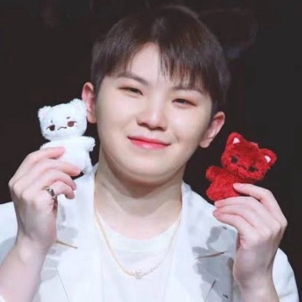 Kpop Idol Seventeen WOOZI Chaveiro De Boneca De Pelúcia Animal Lee