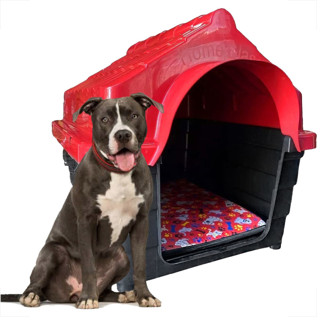 casa Casinha Plástica Cachorro Número 6 + Colchao