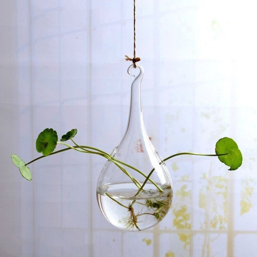 Bola De Vidro Vaso Pendurado Flor Planta Terrário