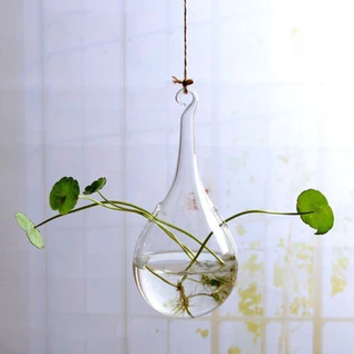 Bola De Vidro Vaso Pendurado Flor Planta Terrário