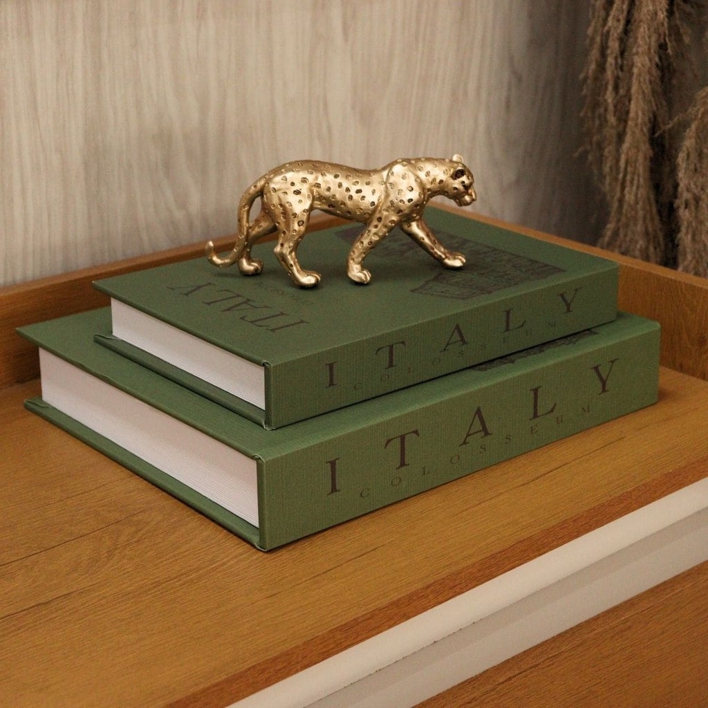 Livros Fake Conjunto Italy