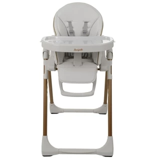 Cadeira de Alimentação Para Bebe Burigotto Prima Pappa Gold