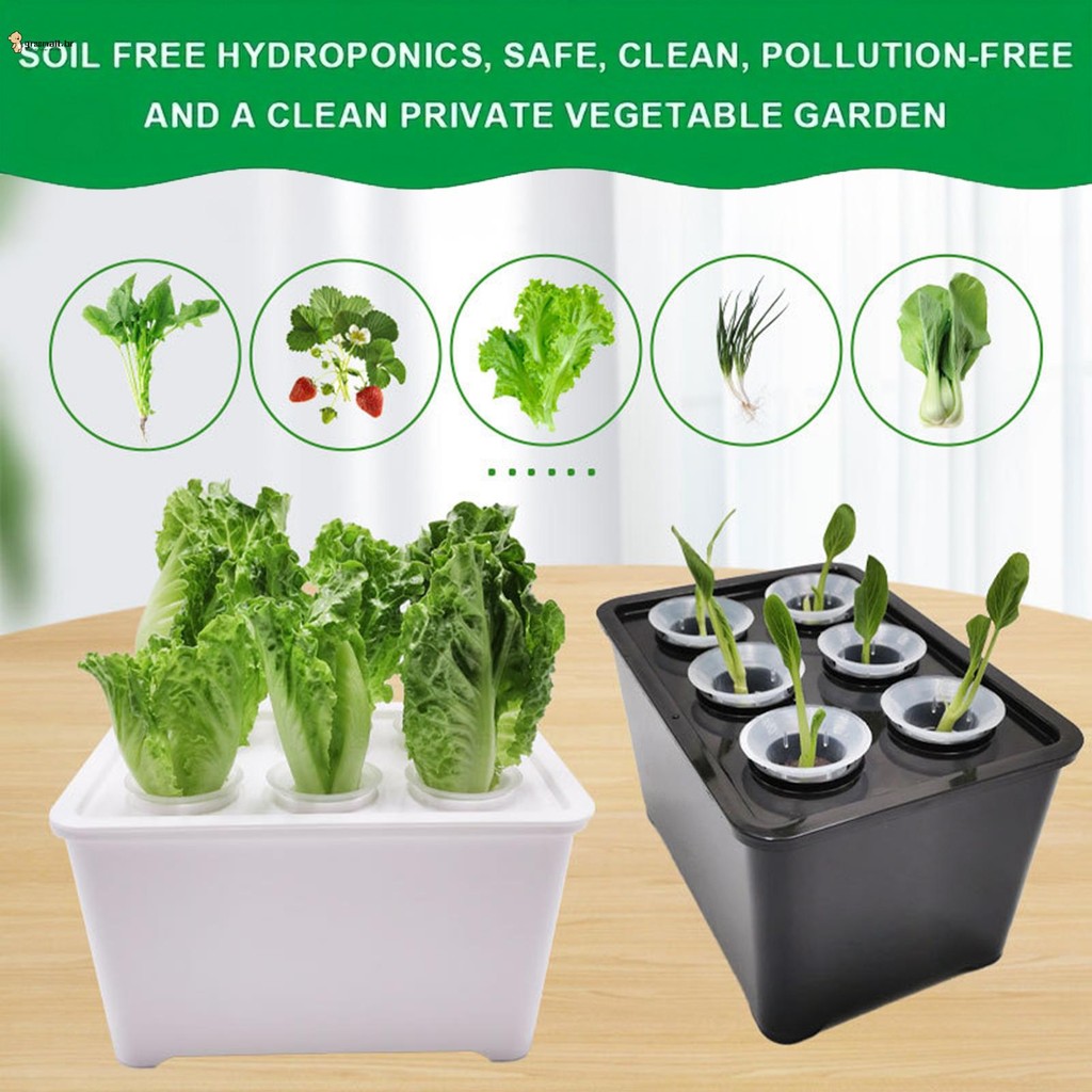 Kit De Cultivo Hidropônico Interno , Conjunto Com Copos De Mudas Para Propagação De Plantas , Vegetais E Frutas
