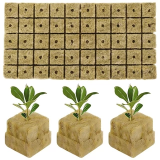 50Pcs/Set Meios De Cultivo Hidropônicos Planta De Lã De Rocha Substrato Sem Solo Blocos De Semeadura De Plugue