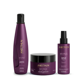 Kit No Frizz Shampoo 300mL, Máscara 250g e Finalizador 120mL Aneethun