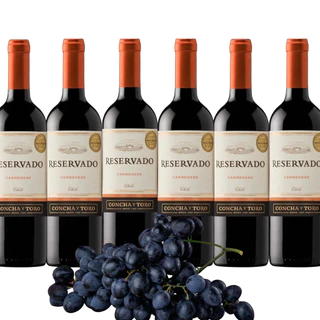 Kit 6 Vinhos Tinto Carmenere  750Ml - Concha Y Toro