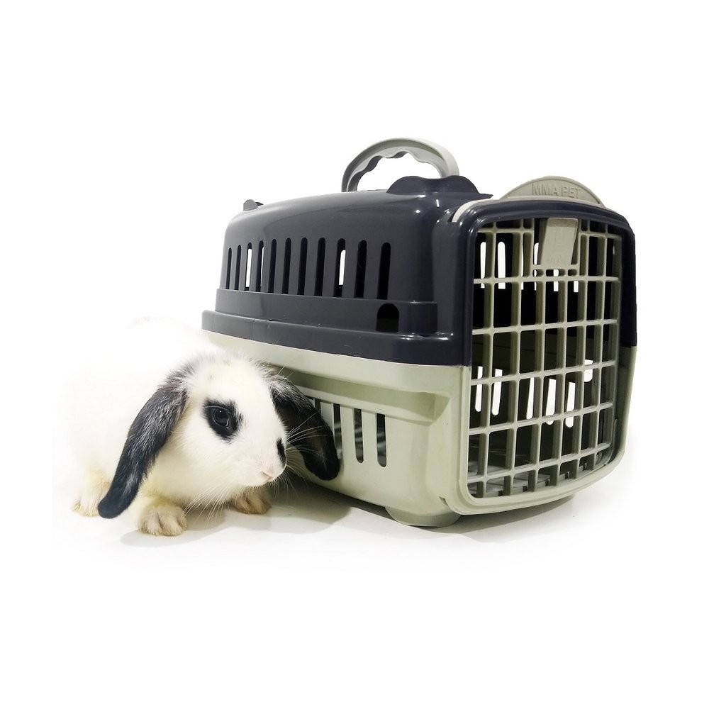 Gray Transport Box 30x22x22cm - Safety and Comfort when Traveling - Premium Pet Product Caprili Shop