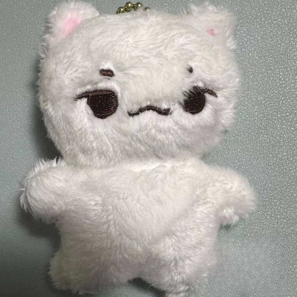 Kpop Idol Seventeen WOOZI Chaveiro De Boneca De Pelúcia Animal Lee