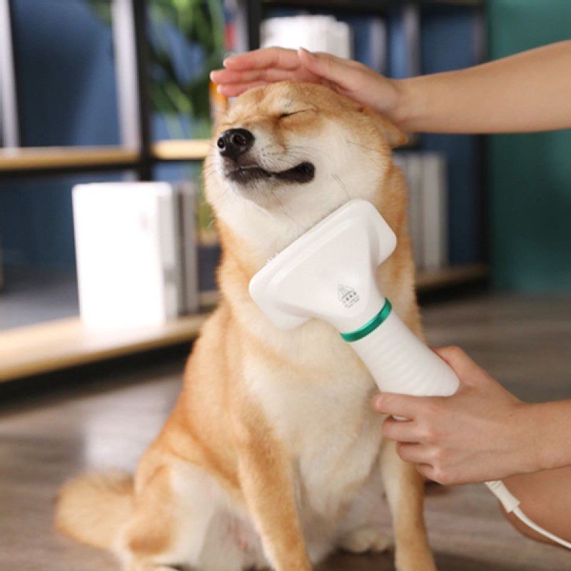 Escova Secadora De Pelos Para Pet Cachorro Gato 110v