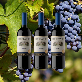 Kit 3 Vinhos Malbec 750ml - Concha Y Toro