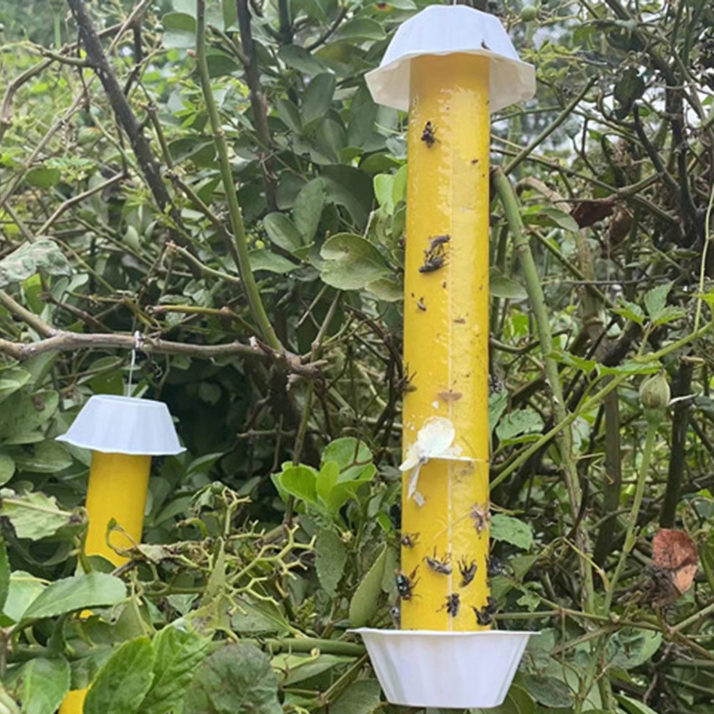 Attracting Fruit Flies Effective Fly Trap with Strong Viscosity and ...