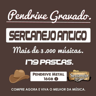 Pendrive Gravado Sertanejo Antigo E Moda De Viola Raiz