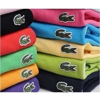 Camisa Polo Lacoste Sport Plus Size G1 G2 G3 G4 G5 Básica Várias Cores Masculino & Feminino Queima de Estoque !