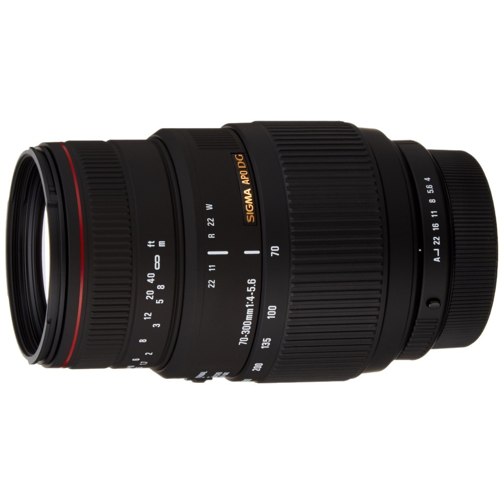 SIGMA Telefoto Zoom Lens APO 70-300mm F4-5.6 DG MACRO Full Frame