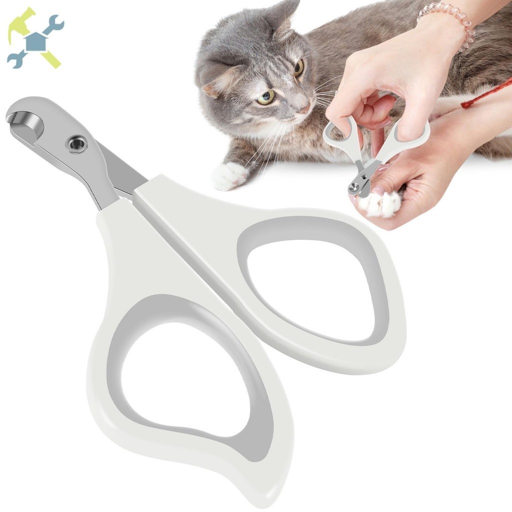 Tesoura De Unhas Para Gatos De Aço Inoxidável Com Furo De Posicionamento De  2mm Sem Deslizamento Pássaros SHOPTKC7154 | Shopee Brasil