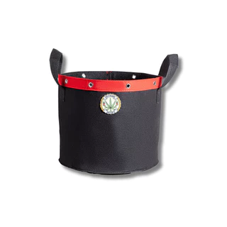VASO DE FELTRO GROW BAG CULTIVANDO SUSTENTO MAXXI 11 LITROS PARA CULTIVO INDOOR E OUTDOOR COM BORDA REFORÇADA E ILHÓS PARA FAZER AMARRAS