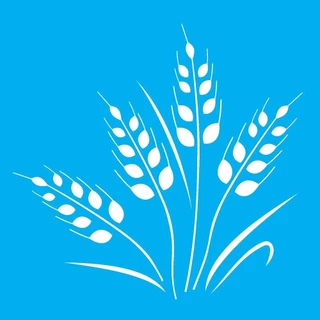 Stencil Opa 14 X 14 cm - Trigo - 2025 em Oferta na Shopee