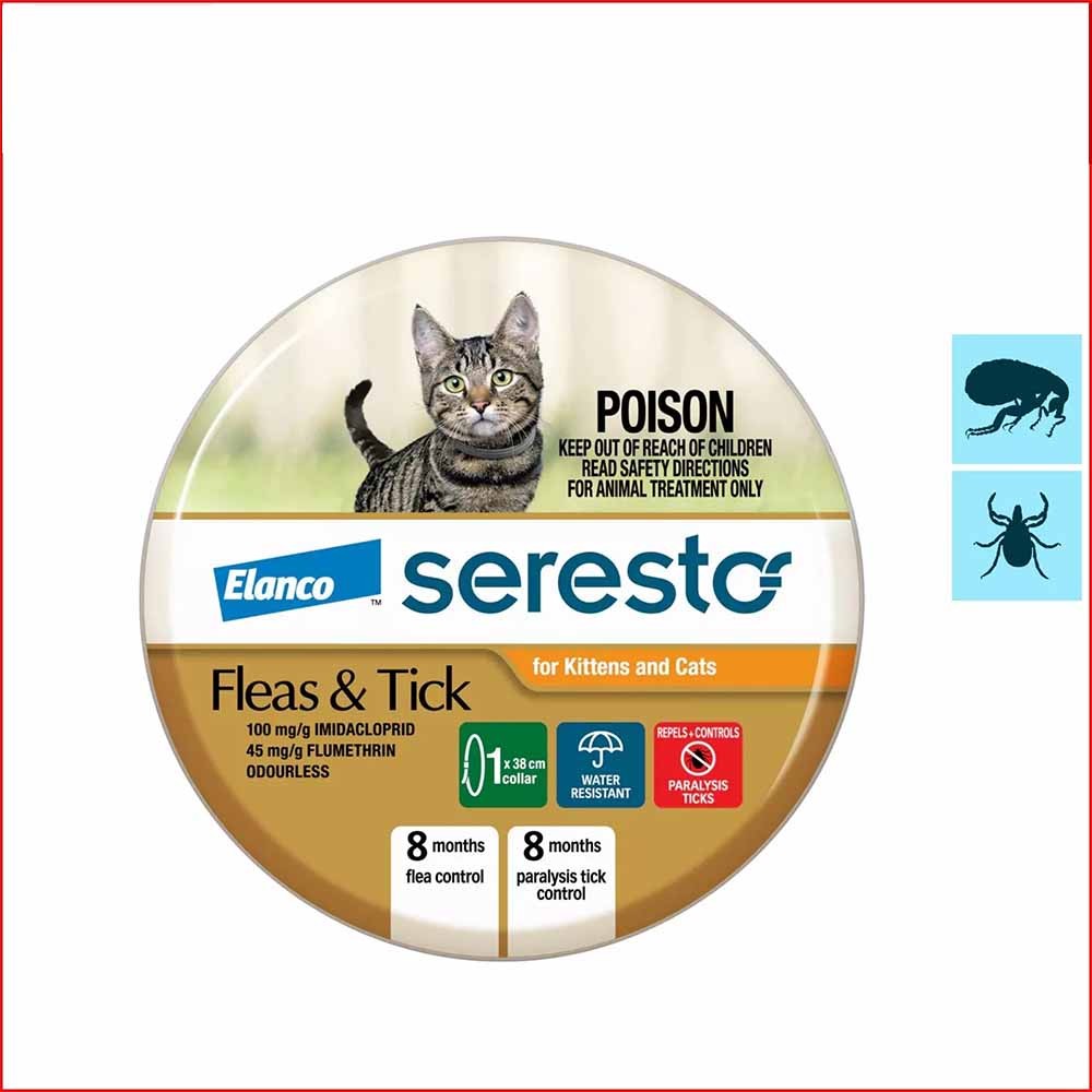 A closer look at Long Lasting Kitten Flea Preventatives For Summer