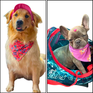 Kit Moda Pet de 7 Bandanas para Cachorros: Conforto e Estilo com Designs Modernos e Alegres.