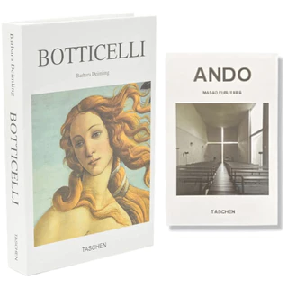 Livro para Decoração papelão Ando botticelli decoração