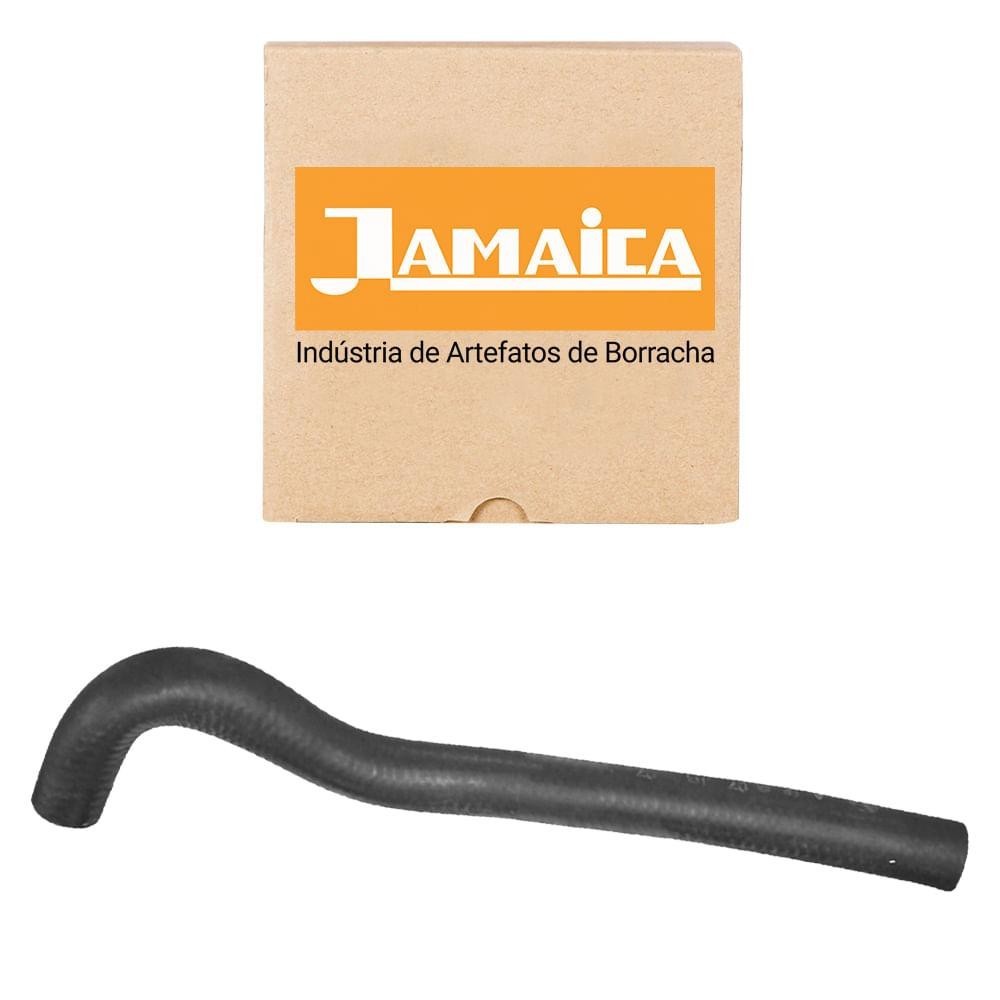 Mangueira Reservatório D' Água Santana 1.8 2.0 85 a 95