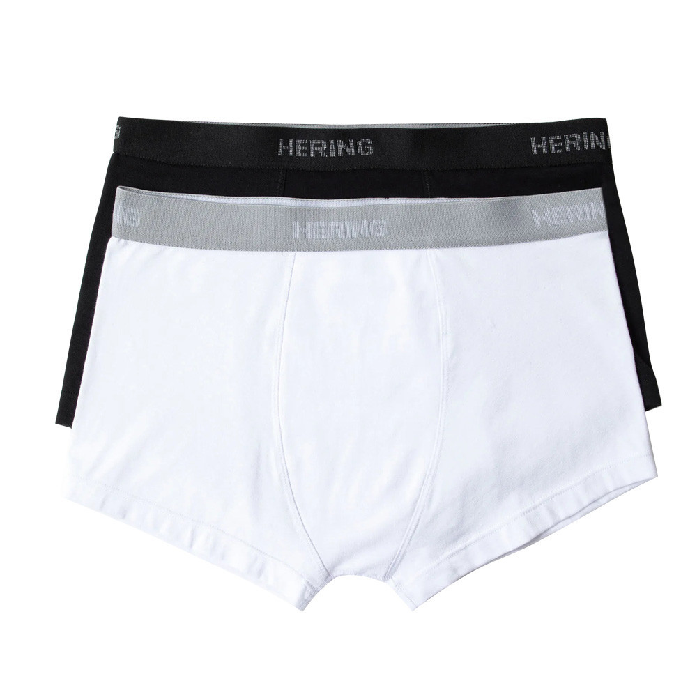 Kit Hering 2 Cuecas Sunga Malha | Shopee Brasil