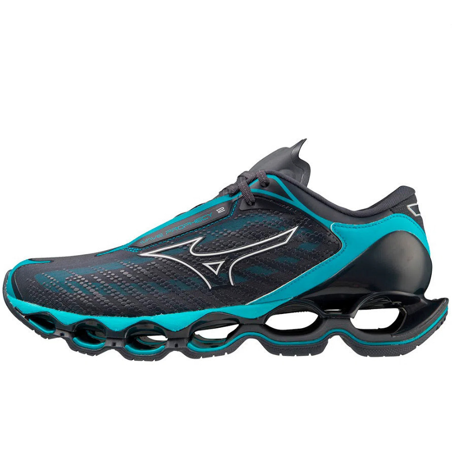 Tênis Mizuno Wave Prophecy 12 Pro 12 Masculino Academia Caminhada ...