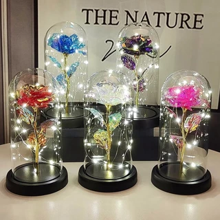 Presente de Natal e Dia dos Namorados Rosa Eterna Flor LED em Vidro para Dama de Honra e Mães