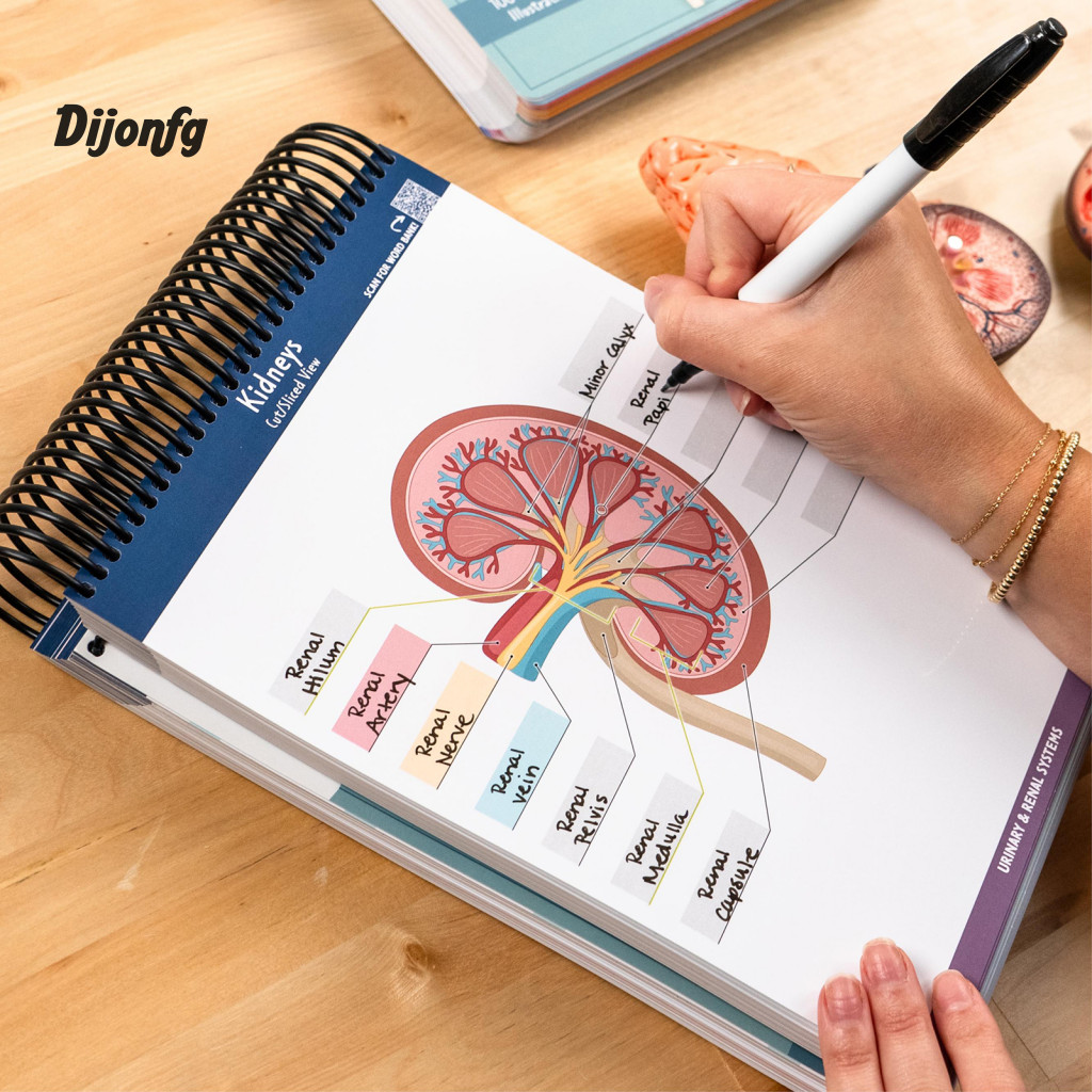 Recursos De Prática De Exame Ap Anatomia Engaging Livro De Exercícios ...