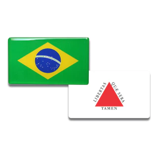 Kit 2 Adesivos Resinados Bandeira Brasil E Minas Gerais Carro 3d Auto relevo