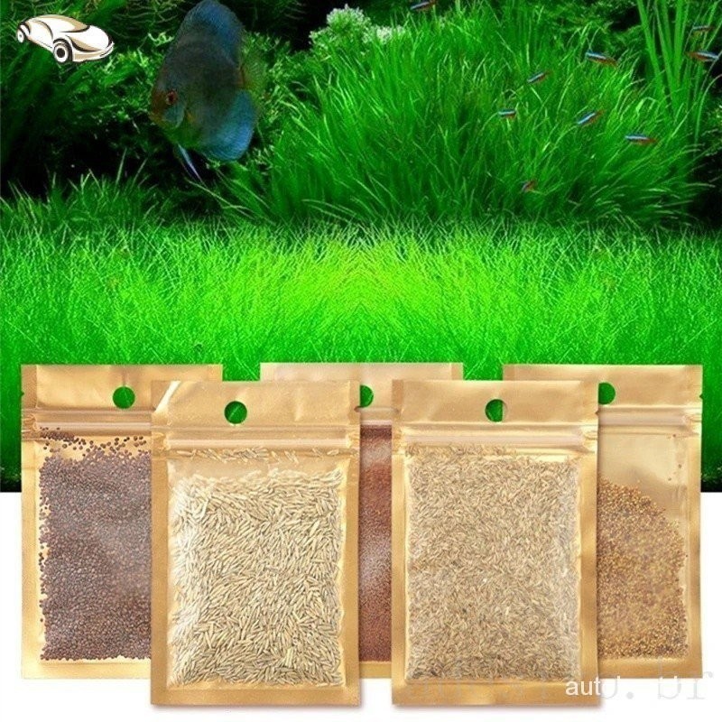 Plantas aquário tapete para decoração