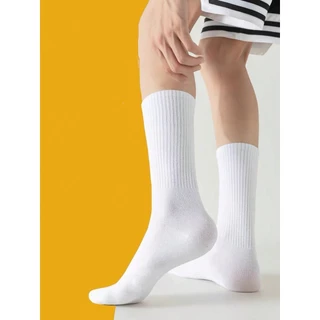 Kit12 e 24 Pares Meia Masculino Cano Alto 40-46 Varios Estampa Aleatorio Varios Estampa Aleatorio